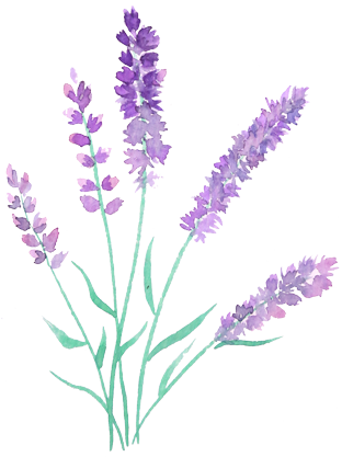 sprigs_lavender2